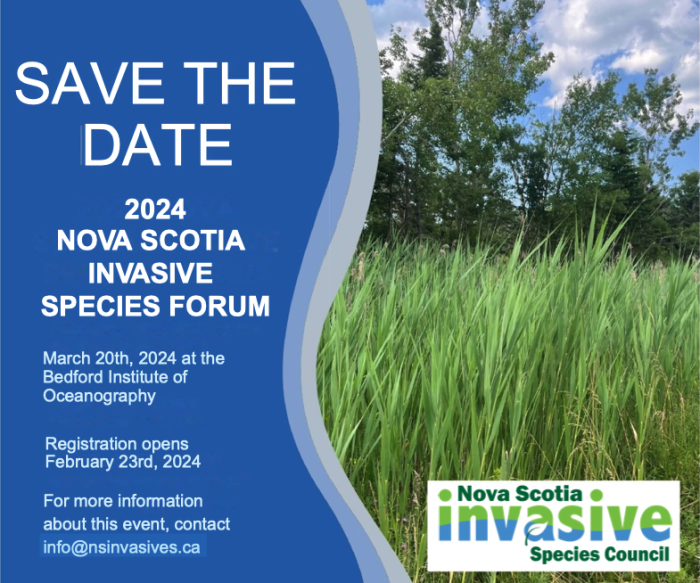 2024 Forum Save the Date